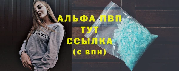 тгк Дмитриев