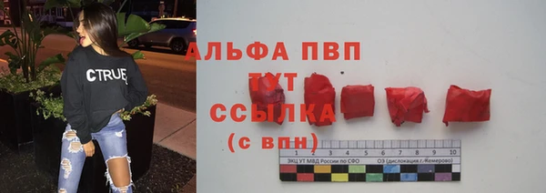 тгк Дмитриев